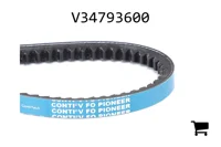 AGCO V34793600 Ремень клиновой