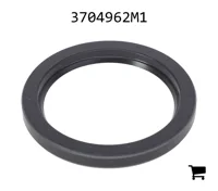 AGCO 3704962M1 Сальник