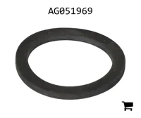 AGCO AG051969 Шайба