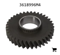 AGCO 3618996M4 Шестерня