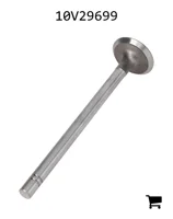 AGCO 10V29699 Впускной клапан