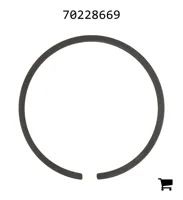 AGCO 70228669 Кольцо