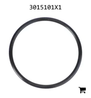 AGCO 3015101X1 Уплотнительное кольцо Ø 61,91 x 3,53 мм