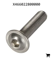 AGCO X466022800000 Винт с овальной головкой