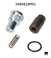 AGCO 3909828M91 Комплект обратного клапана