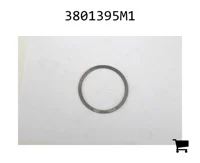AGCO 3801395M1 Шайба