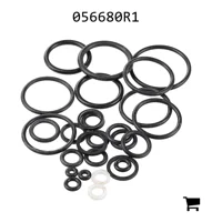 AGCO 056680R1 Комплект уплотнений