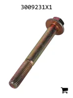 AGCO 3009231X1 Болт с шестигранной головкой и фланцем