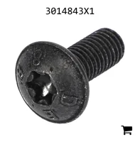 AGCO 3014843X1 Винт с полукруглой головкой