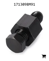 AGCO 1713098M91 Вентиляционный винт