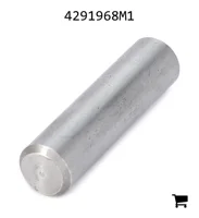 AGCO 4291968M1 Палец вилки