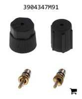 AGCO 3904347M91 Комплект клапанов