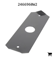 AGCO 2466960W2 Крышка слота