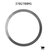 AGCO 3702708M1 Шайба