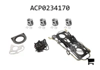 AGCO ACP0234170 Комплект для капитального ремонта двигателя