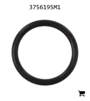 AGCO 3756195M1 Уплотнительное кольцо