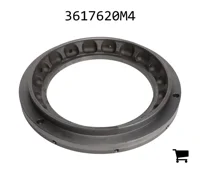 AGCO 3617620M4 Поршень тормозной системы