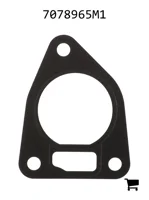 AGCO 7078965M1 Прокладка