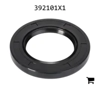 AGCO 392101X1 Уплотнения