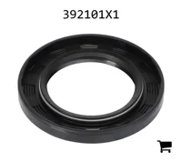 AGCO 392101X1 Уплотнения
