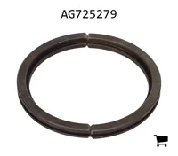 AGCO AG725279 Стопорное кольцо