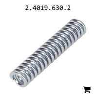 AGCO 2.4019.630.2 Пружина