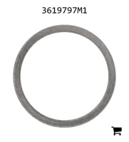 AGCO 3619797M1 Регулировочная шайба