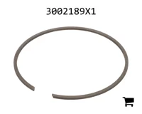AGCO 3002189X1 Стопорное кольцо