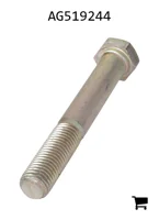 AGCO AG519244 Болт с шестигранной головкой