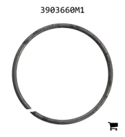 AGCO 3903660M1 Стопорное кольцо