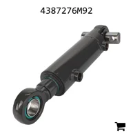 AGCO 4387276M92 Оперативная память