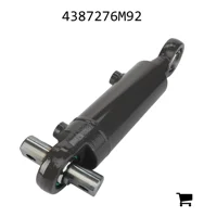 AGCO 4387276M92 Оперативная память