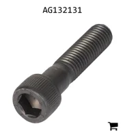 AGCO AG132131 Винт