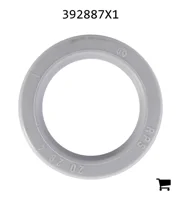 AGCO 392887X1 Уплотнение