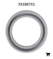 AGCO 392887X1 Уплотнение