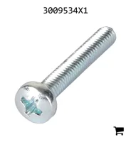 AGCO 3009534X1 Винт с полукруглой головкой