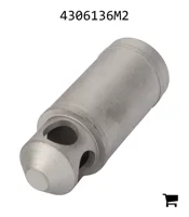 AGCO 4306136M2 Обратный клапан