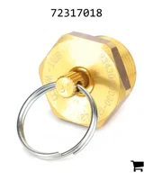 AGCO 72317018 Сливной клапан