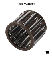 AGCO 1442548X1 Игольчатый подшипник