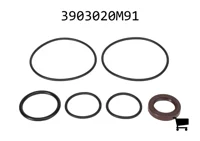 AGCO 3903020M91 Комплект уплотнений