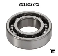 AGCO 3016038X1 Шариковый подшипник