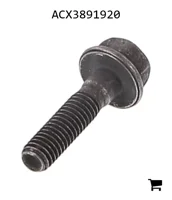 AGCO ACX3891920 Винт