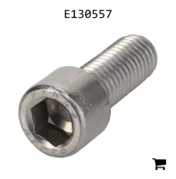 AGCO E130557 Болт