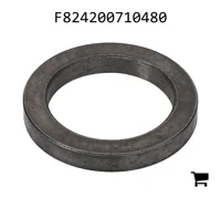 AGCO F824200710480 Шайба