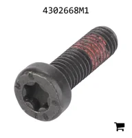 AGCO 4302668M1 Винт с потайной головкой