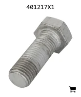 AGCO 401217X1 Болт