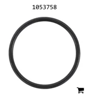 AGCO 1053758 Уплотнительное кольцо