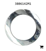 AGCO 3806142M1 Шайба