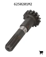 AGCO 6250201M2 Шестерня