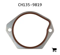 AGCO CH135-9819 Уплотнение